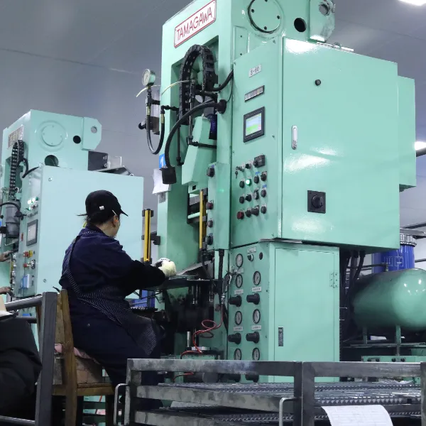 Relink Tungsten Carbide Product's Blanks Pressing