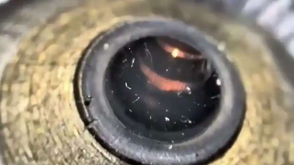 Nano Wire Drawing Dies Inside Zoom